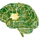 Kinestezja artykulacyjna – co to takiego?