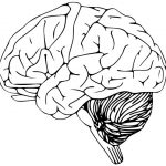 Uszkodzenie móżdżku – czy zmiany są nieodwracalne?