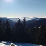 Serdeczne życzenia noworoczne na 2020 rok