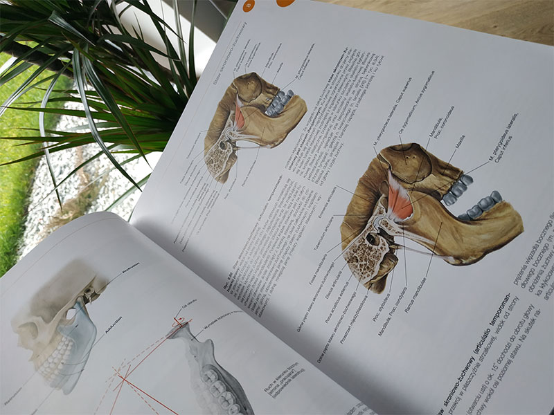 Książka o anatomii - staw skroniowo-żuchwowy