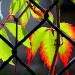 Wrzesień z punktu widzenia logopedy